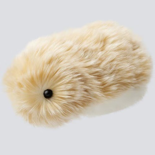 Casio pet moflin - ai, di